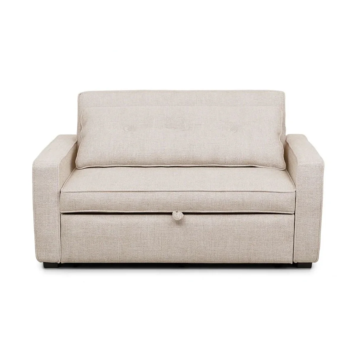 Argyle Pull Out Loveseat Bed