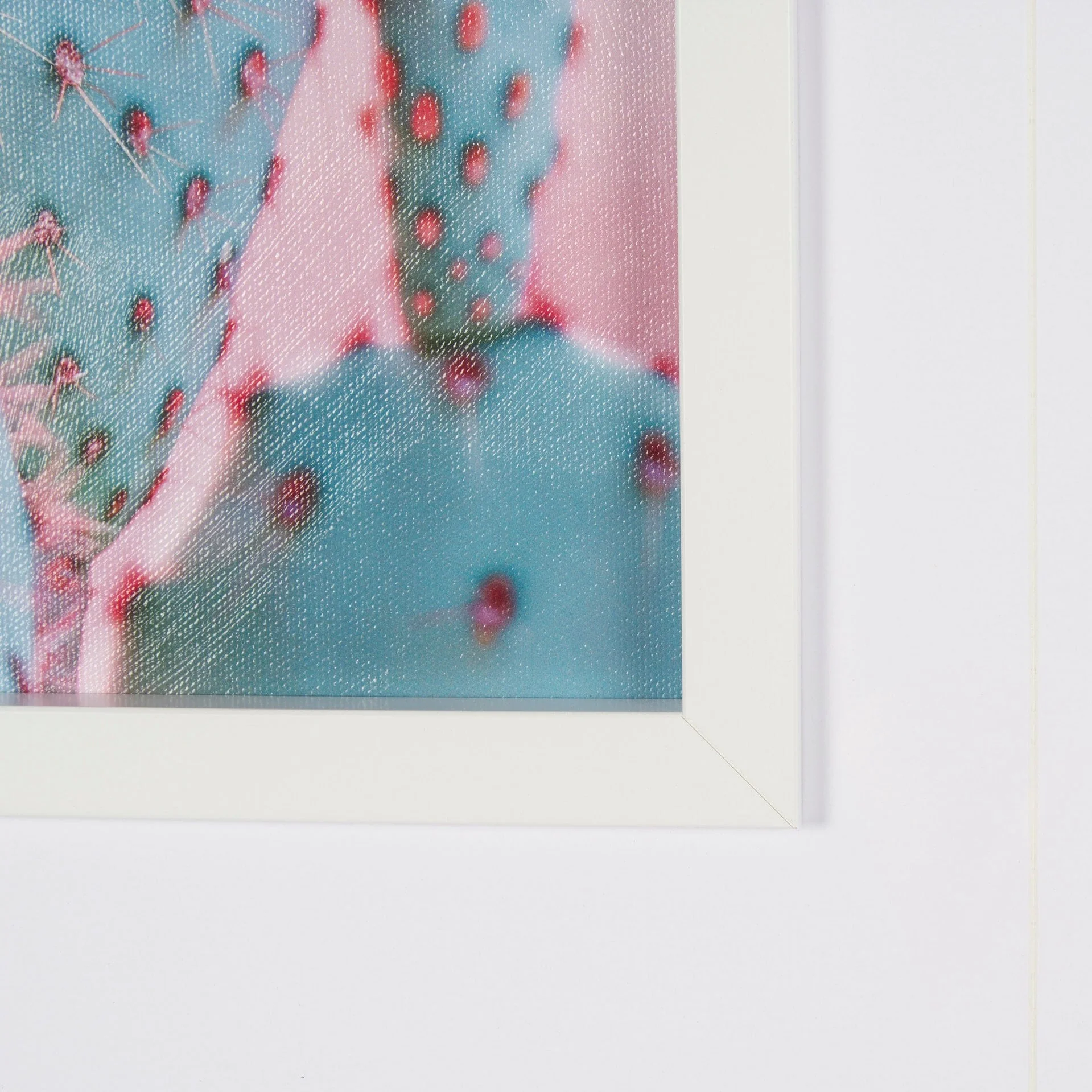 Blush Botanicals  Framed Photo Art Print - Image 6