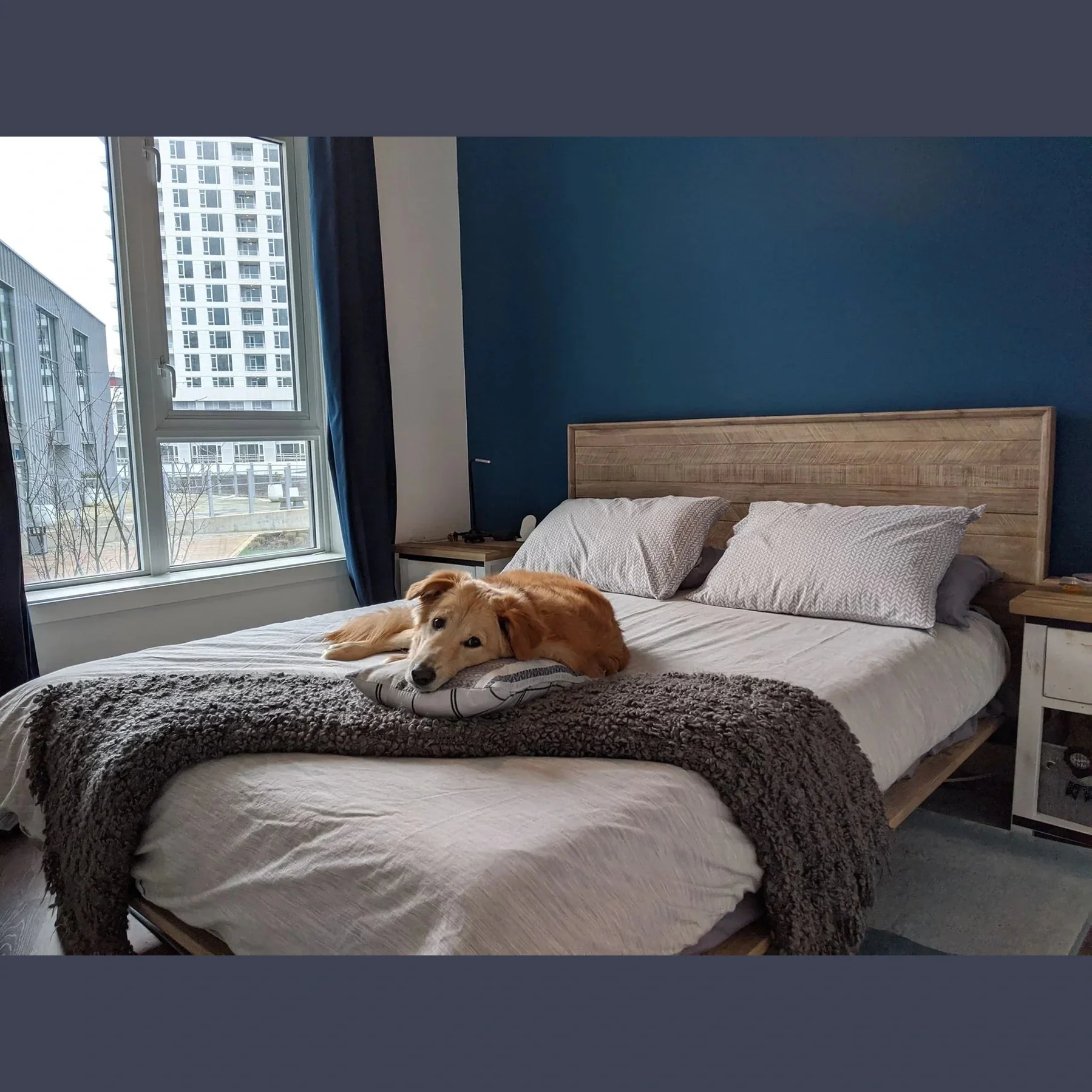 Elvyn Bed - Image 17