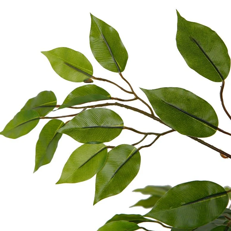Ficus Tree Faux Plant 170cm/ 67" - Image 4