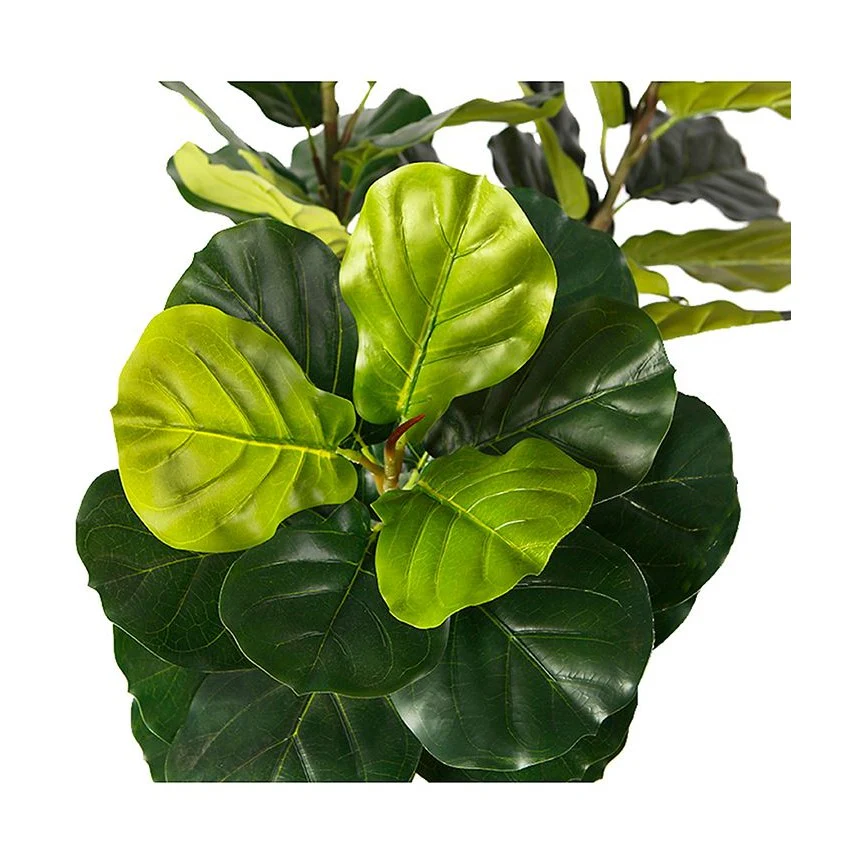 Fiddle Leaf Fig Faux Plant 200cm/ 78.74" - Image 3