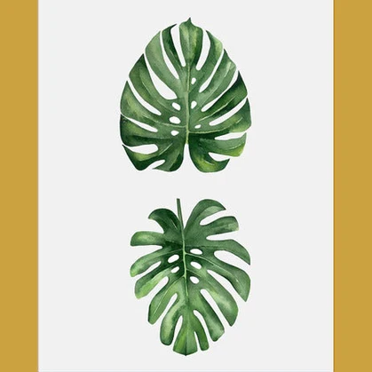 Forest Finds  Set of 5 Alloy Matt - Golden Frame Wall Art - Image 4
