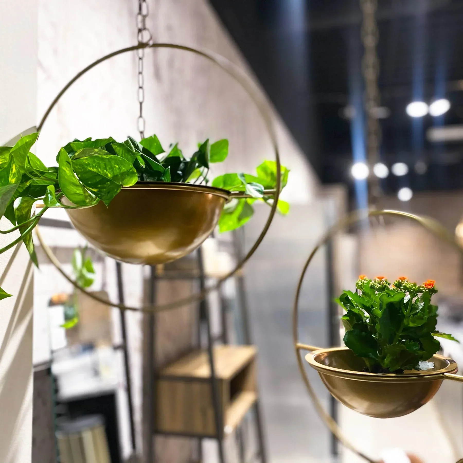 Grainhouse Wind & Fire Hanging Pots (Set of 2) - Image 7