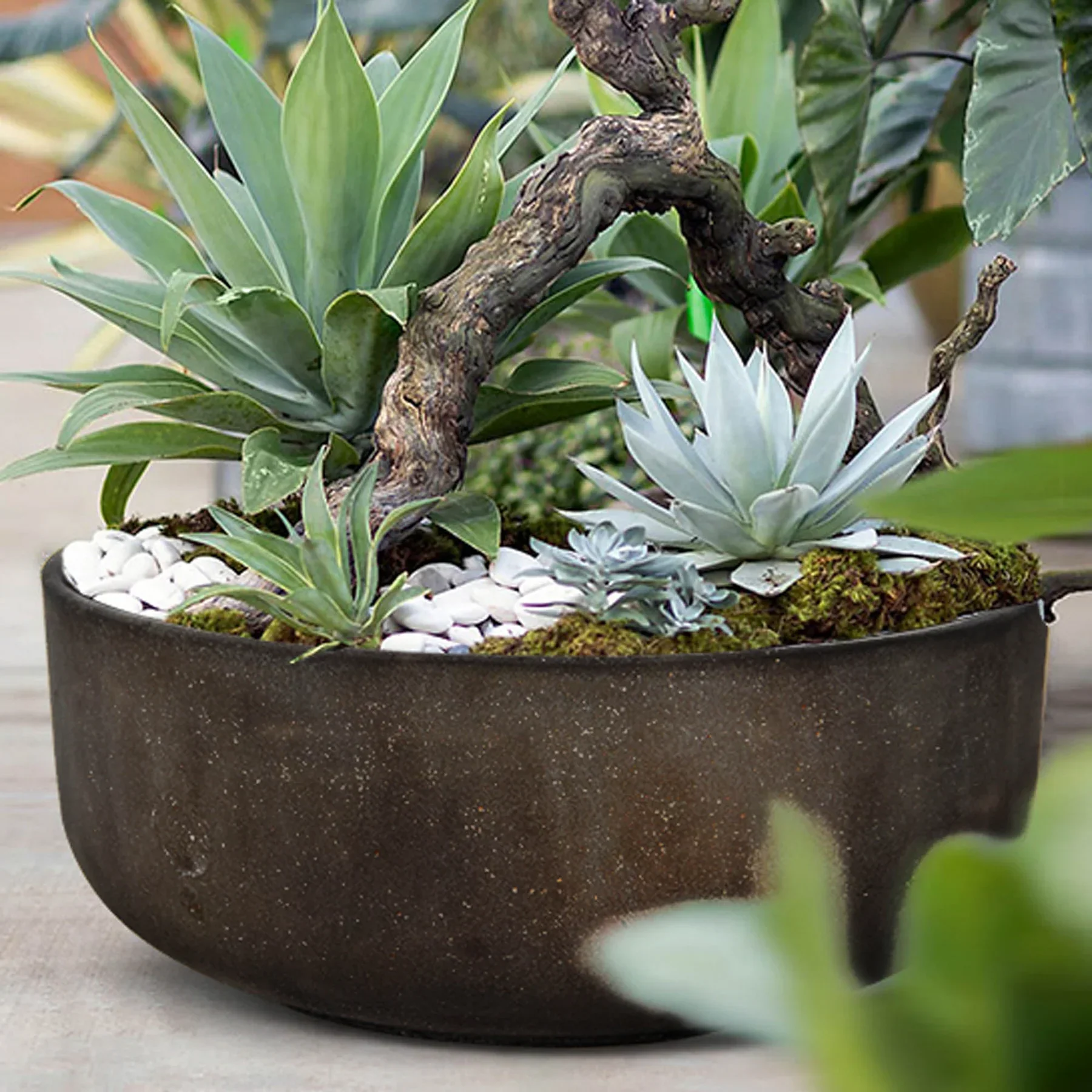 Harlin Bowl - Rustic Brown - Image 4