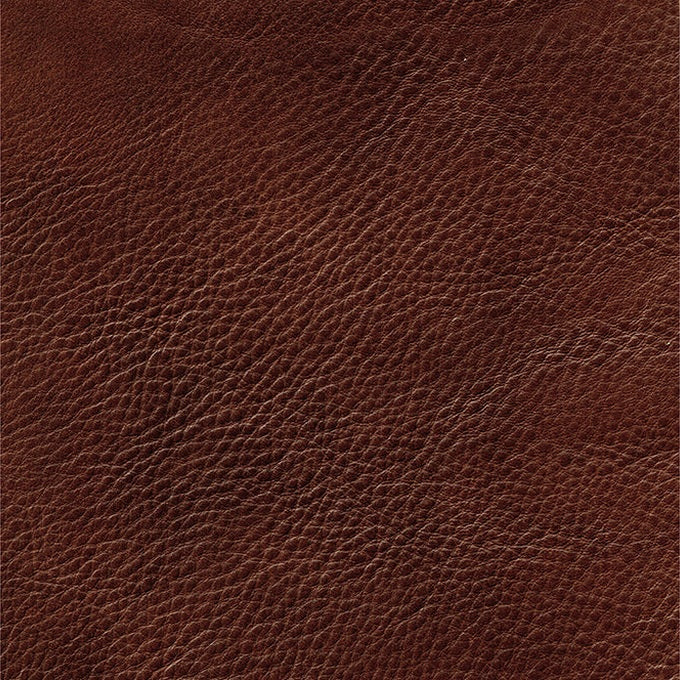Jammie Genuine Leather Loveseat - Image 4