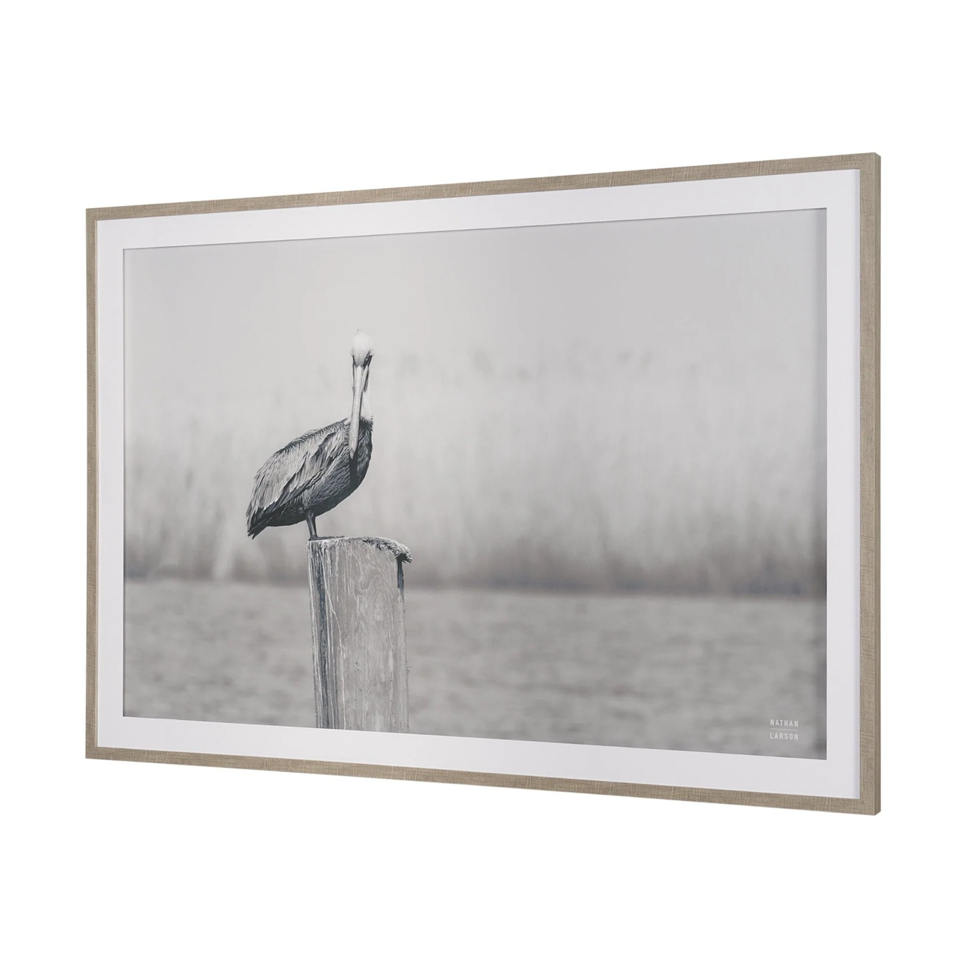 Pelican Stories Framed Art Print - Image 2