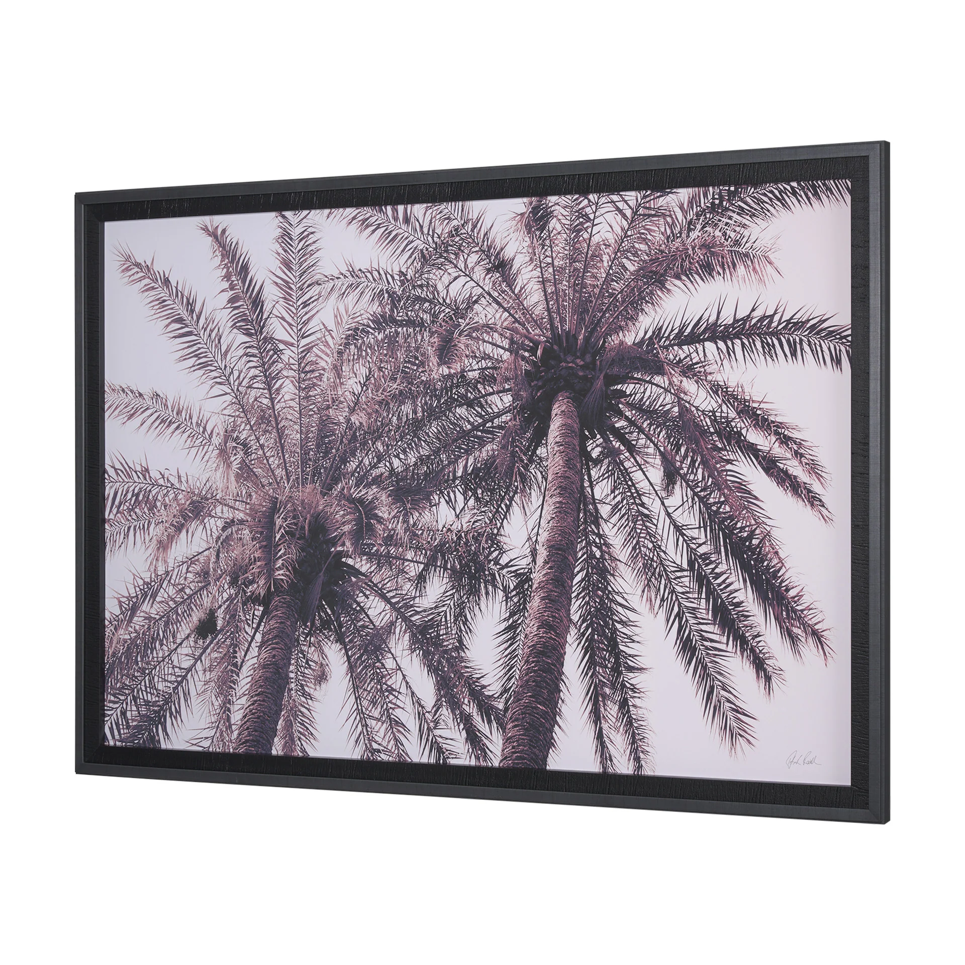 Pink Palms by Deborah Revell Framed Photo Art Print - Image 17