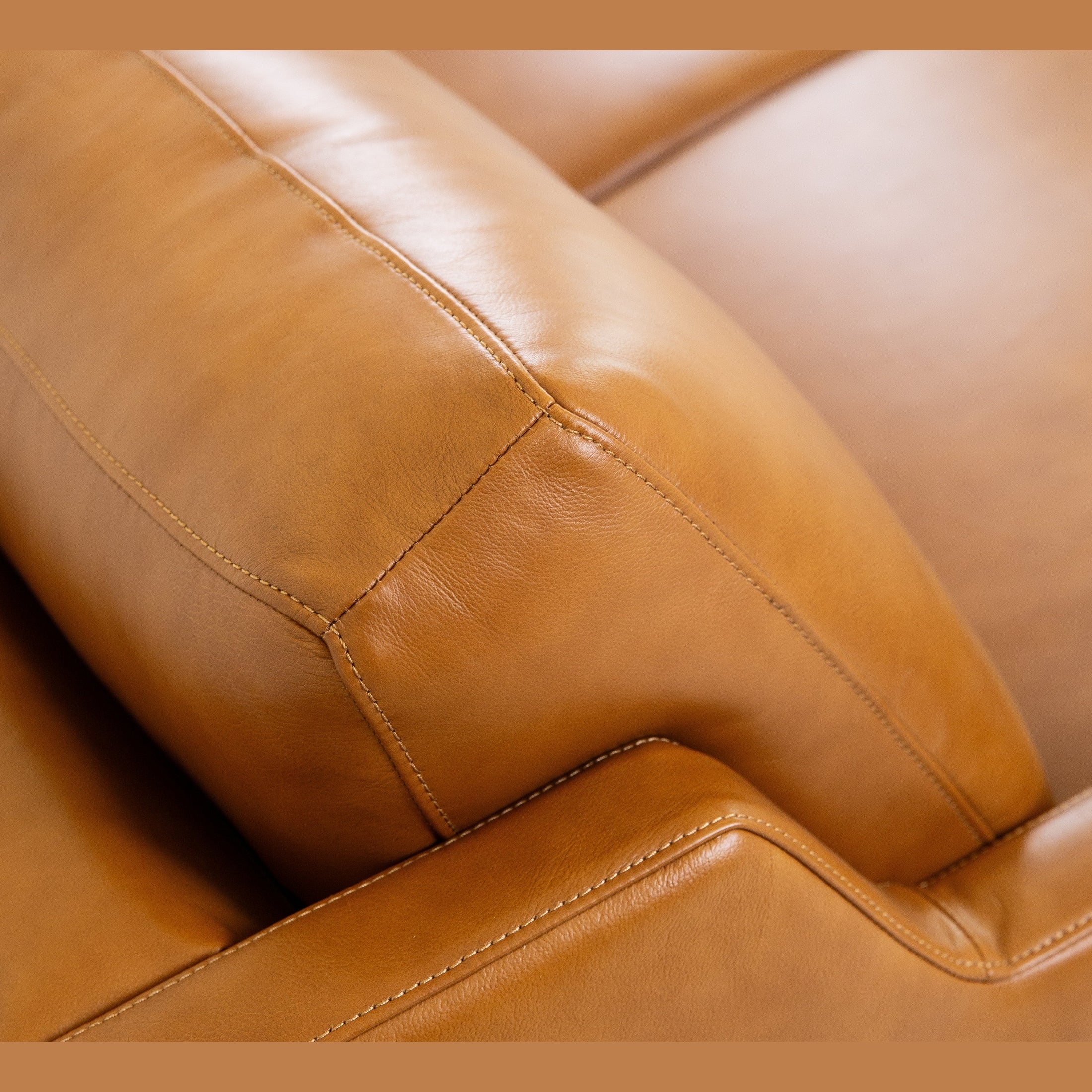 Roba Genuine Leather Sofa - Image 17