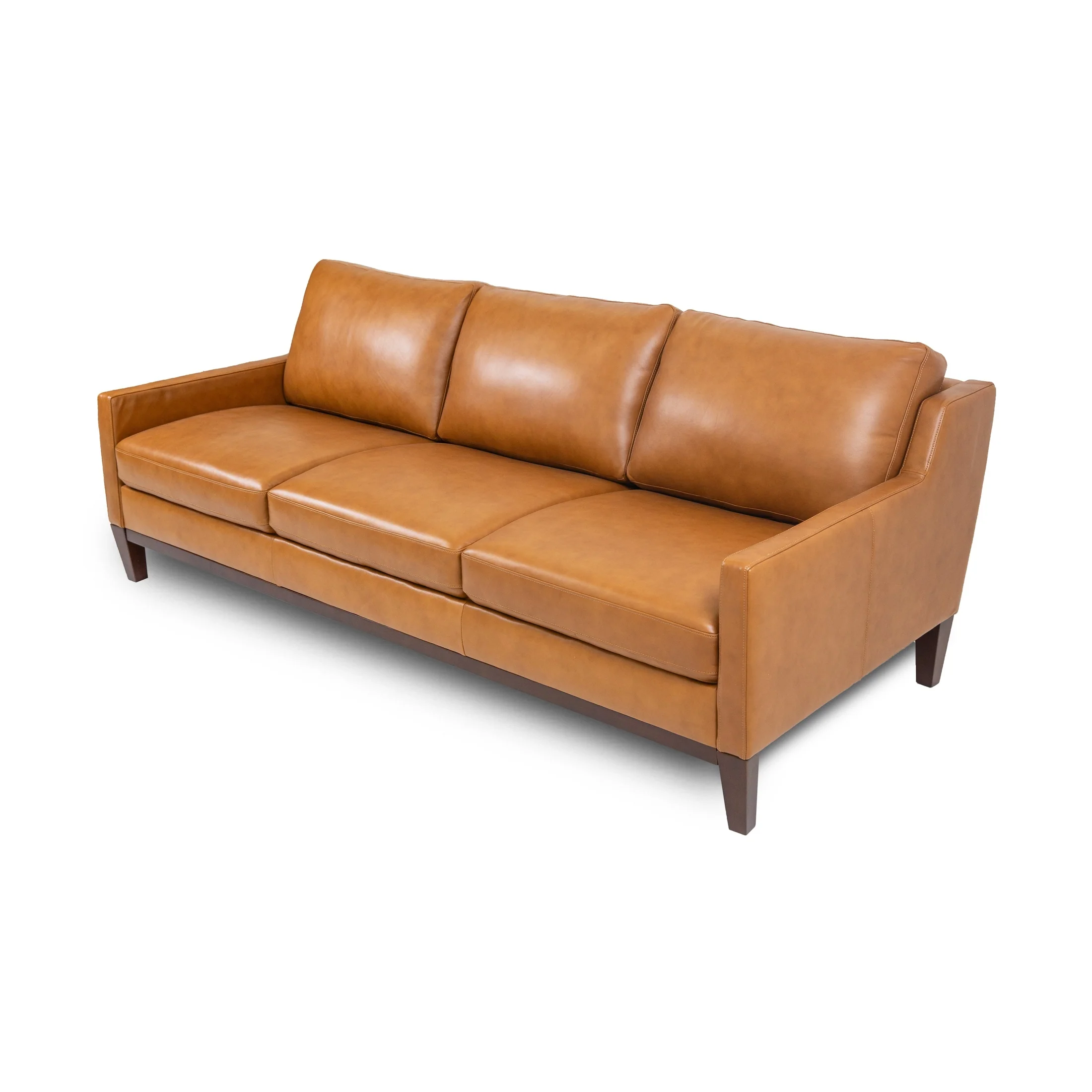 Roba Genuine Leather Sofa - Image 3